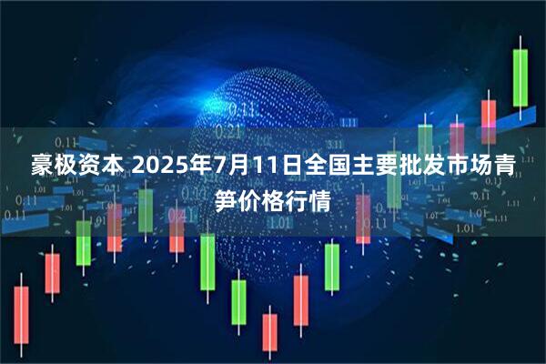 豪极资本 2025年7月11日全国主要批发市场青笋价格行情