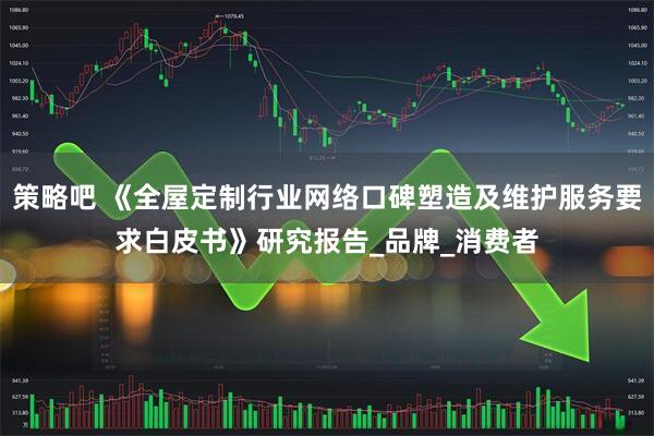 策略吧 《全屋定制行业网络口碑塑造及维护服务要求白皮书》研究报告_品牌_消费者